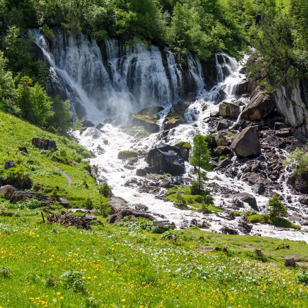 2024.6.13 Lenk