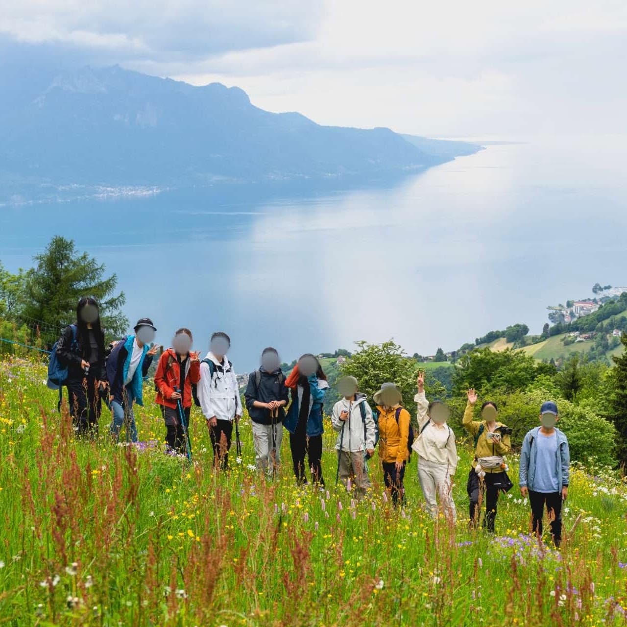 2025.05.25 Montreux 水仙花