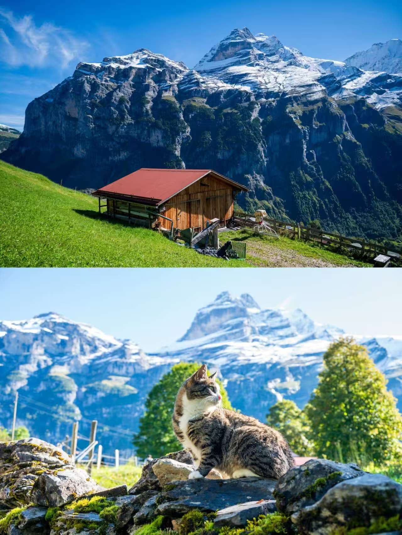 2025.09.28 Schilthorn