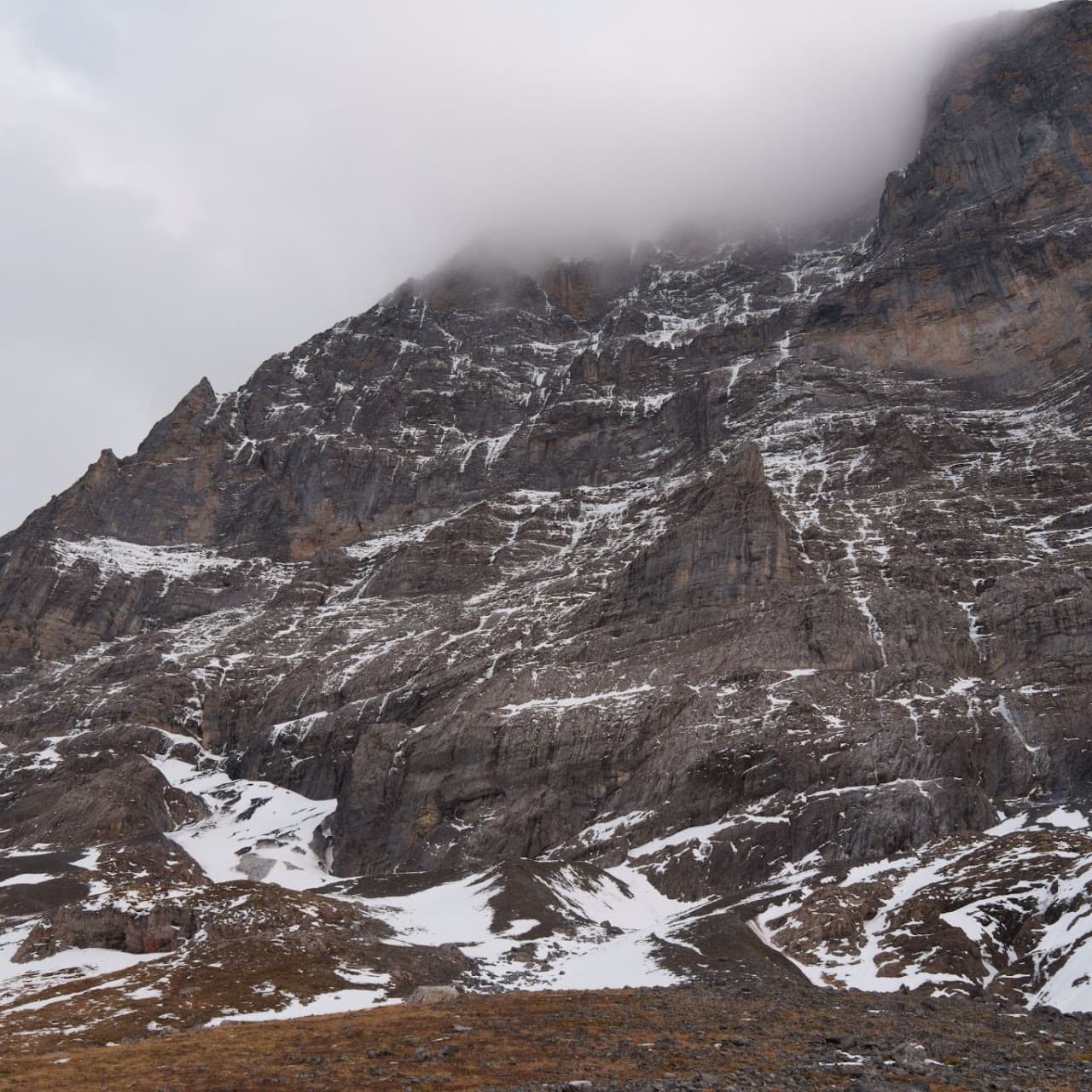 2025.11.01 Eiger Trail