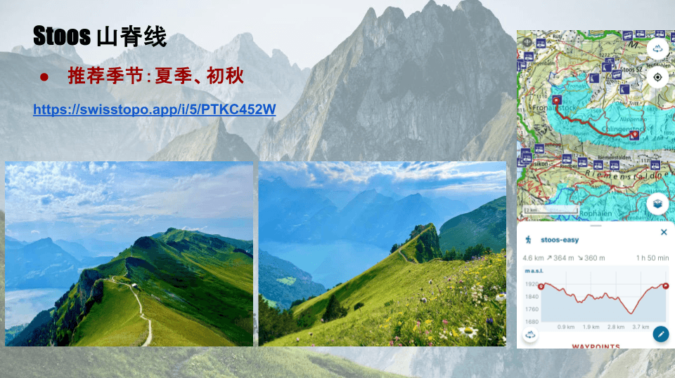 完全新手